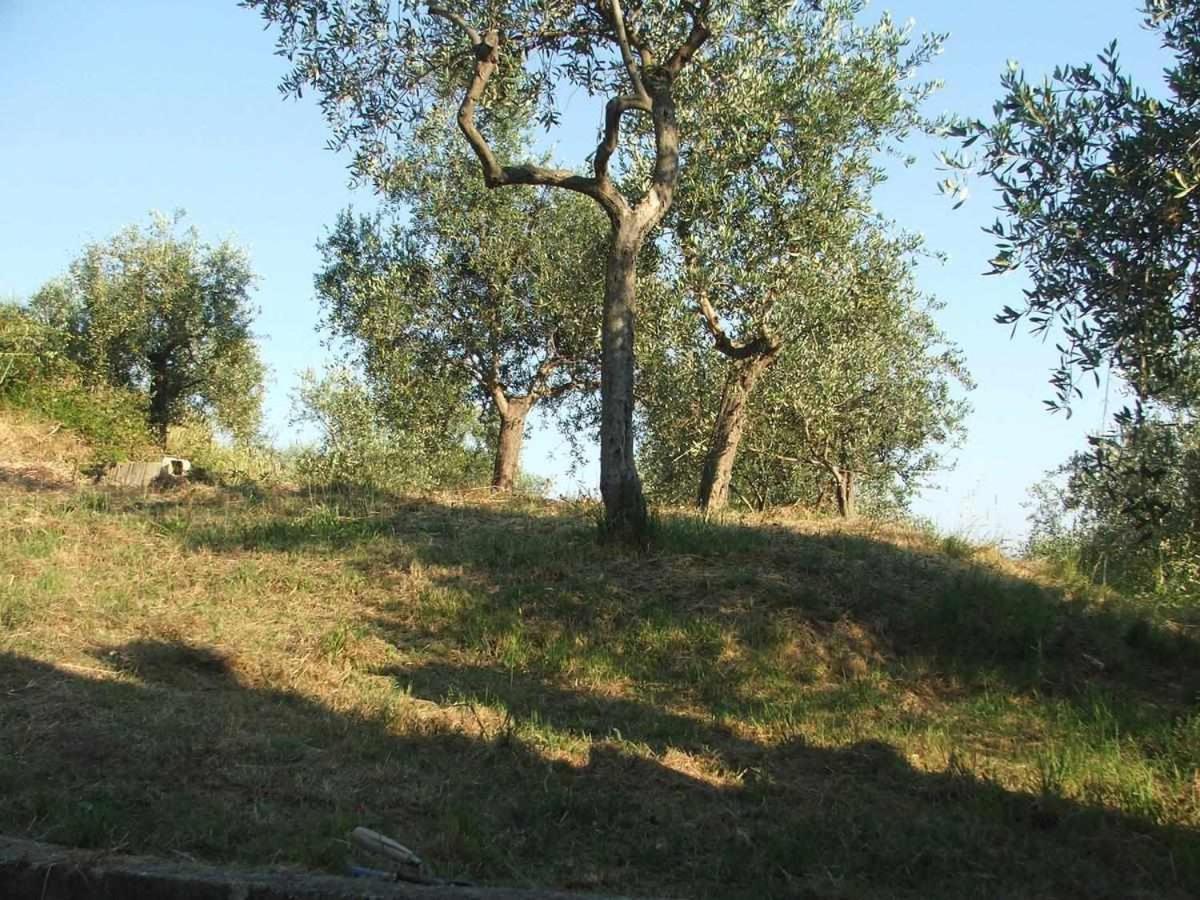 La Casetta Di Sofia مونيلّي المظهر الخارجي الصورة