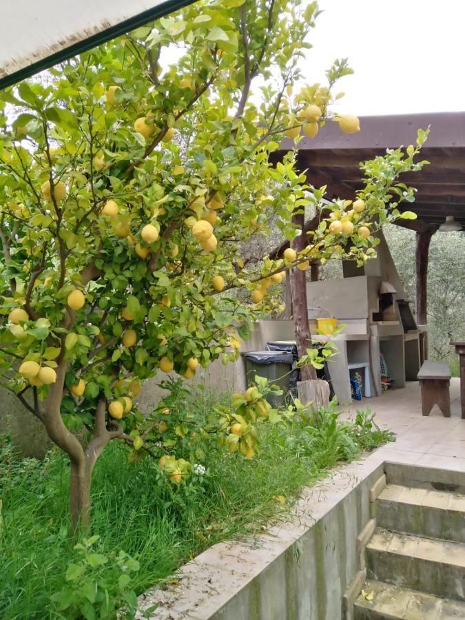 La Casetta Di Sofia مونيلّي المظهر الخارجي الصورة